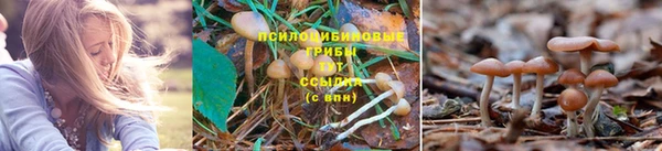 мяу мяу кристалл Белокуриха