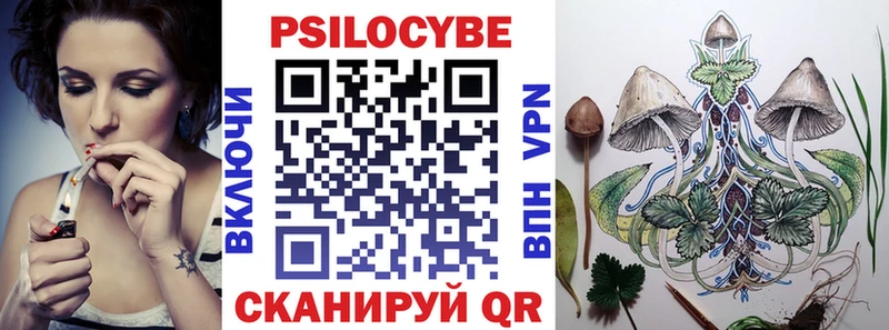 Псилоцибиновые грибы Psilocybe что такое Кириллов